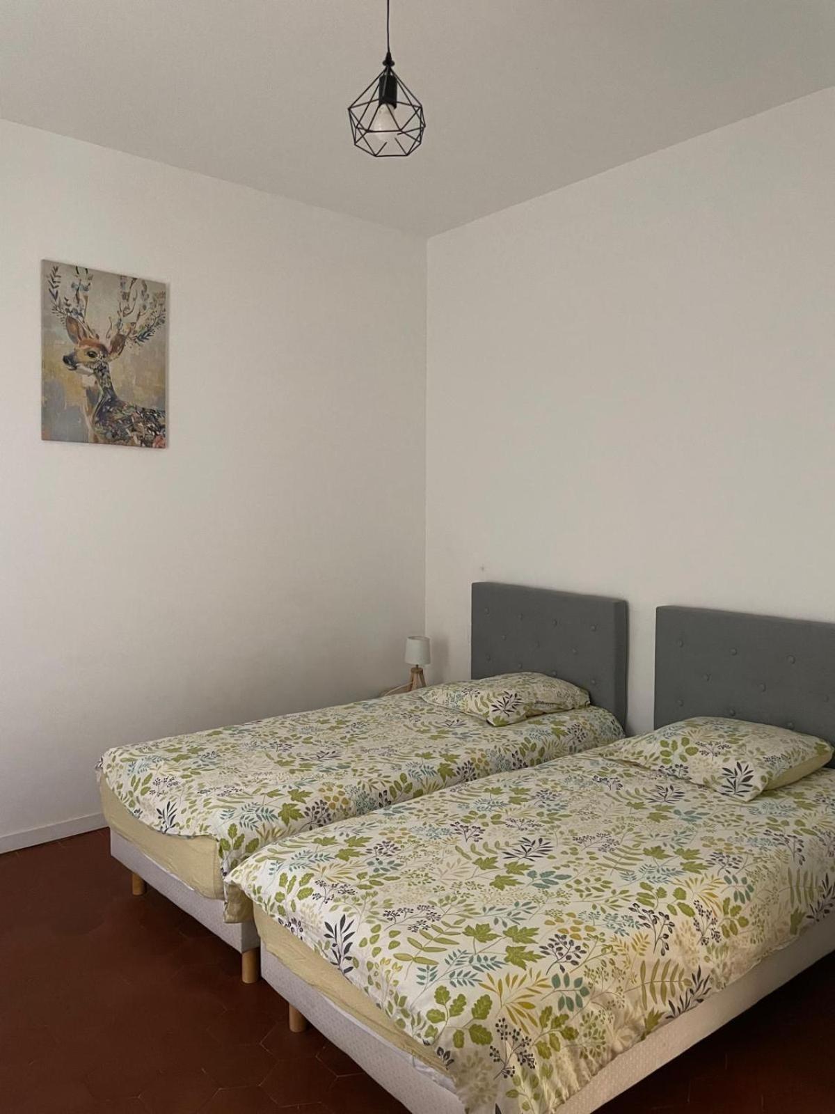 Appartement Gaudi Centre Historique Perpignan Dış mekan fotoğraf
